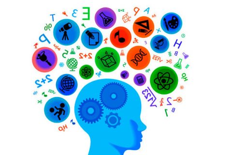 Procesos psicologicos basicos